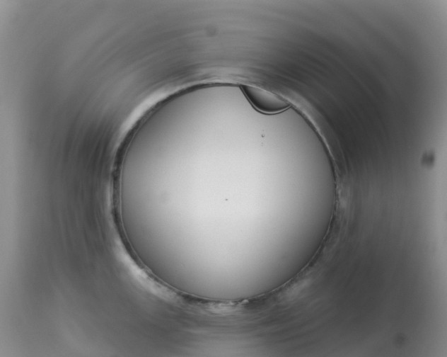X0000113101147200909111045