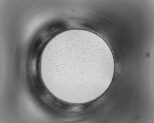 X0000113101150200909111045
