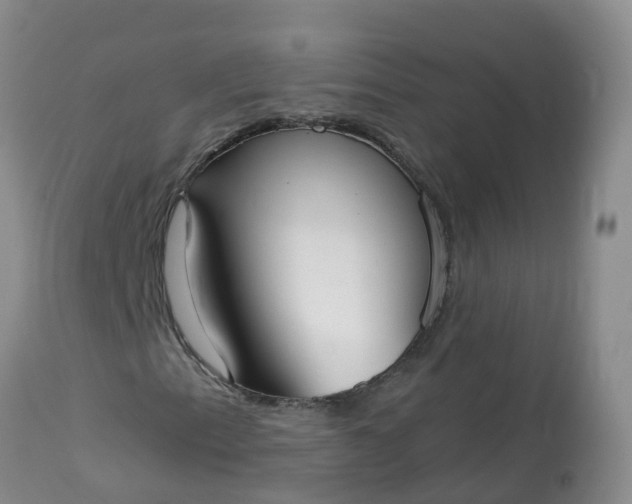 X0000113101153200909111044