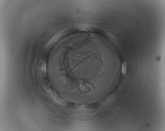 X0000113101155200909111044