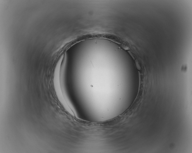X0000113101157200909111044
