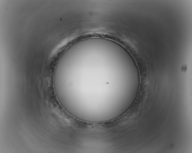 X0000113101159200909111044