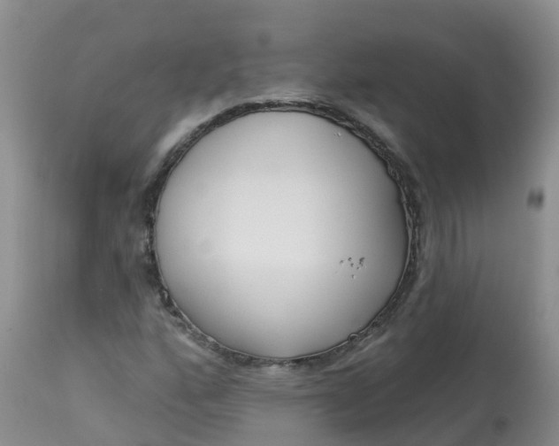 X0000113101160200909111044