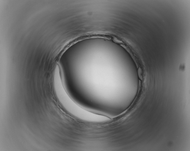 X0000113101161200909111044
