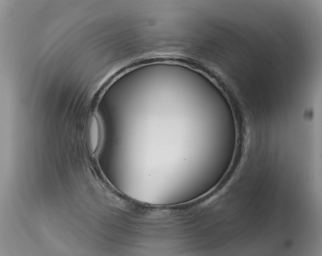 X0000113101162200909111044