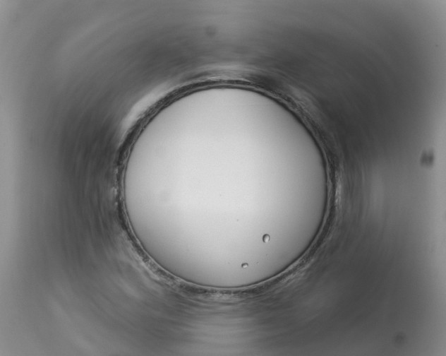 X0000113101164200909111044