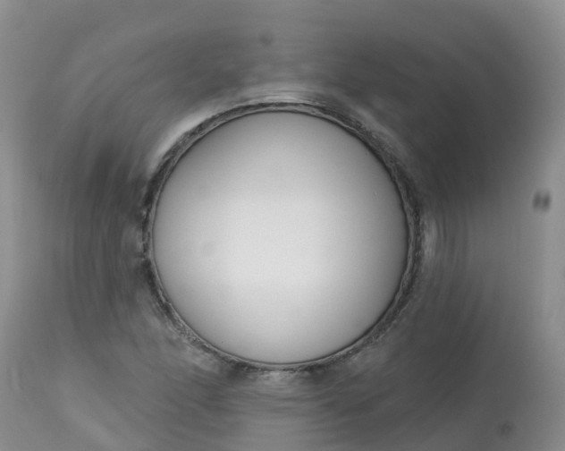 X0000113101166200909111044