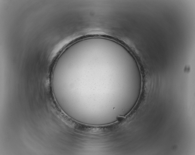 X0000113101167200909111044