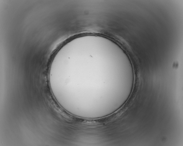 X0000113101168200909111044