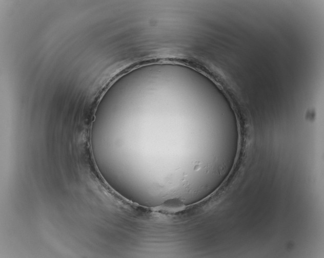 X0000113101169200909111044