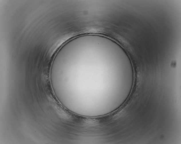 X0000113101170200909111044