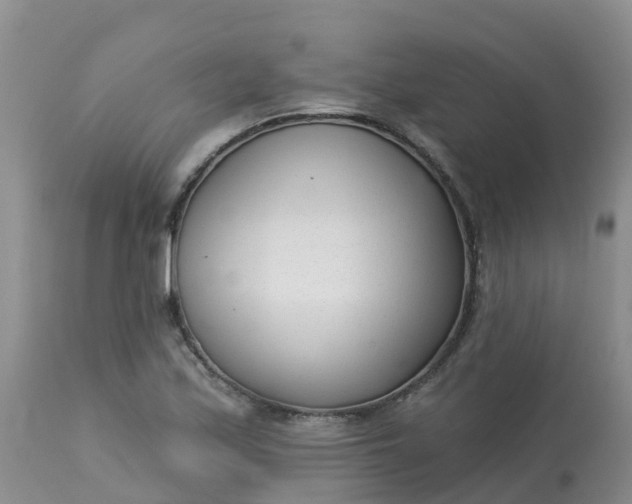 X0000113101171200909111044