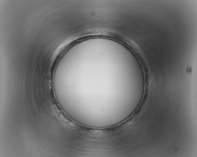 X0000113101172200909111044