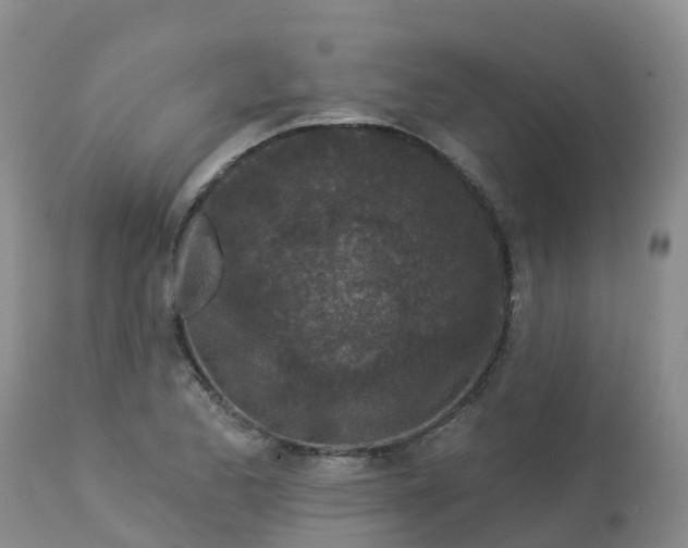 X0000113101173200909111044