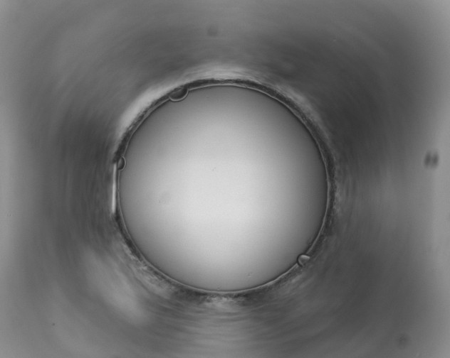 X0000113101175200909111044