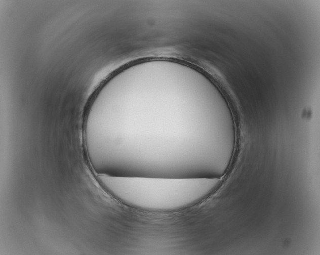 X0000113101176200909111044