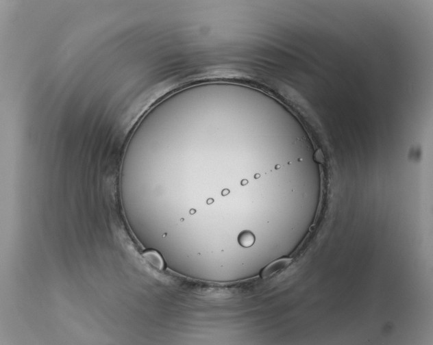 X0000113101177200909111044