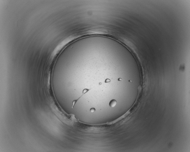 X0000113101179200909111044