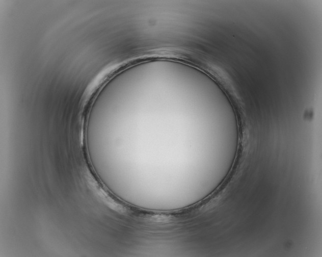 X0000113101180200909111044
