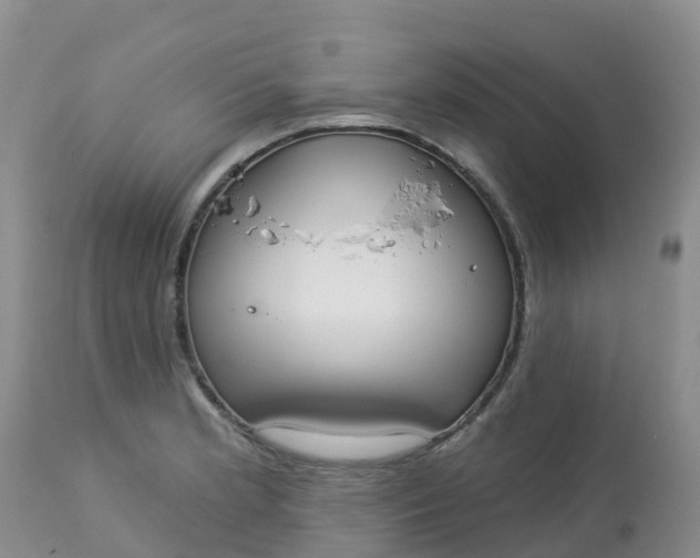 X0000113101181200909111044