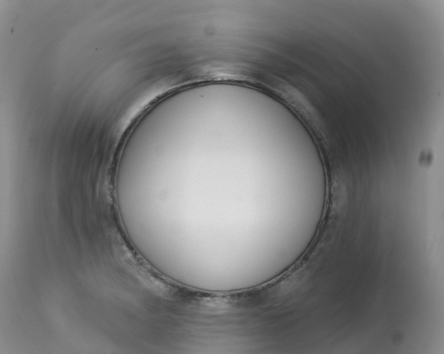 X0000113101182200909111044