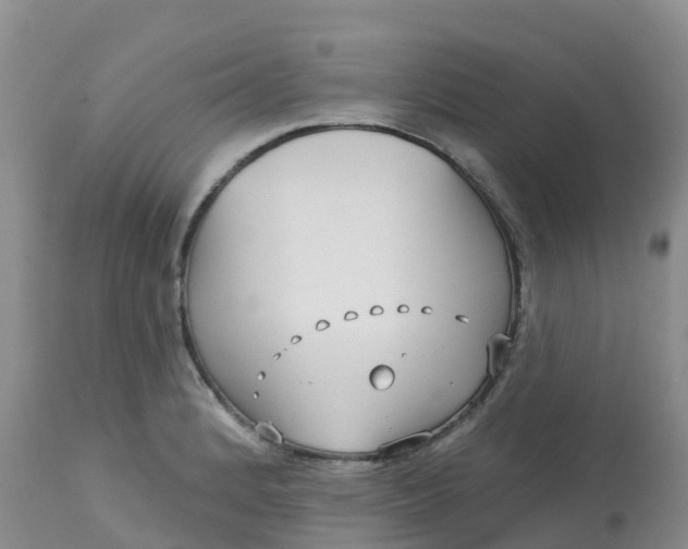 X0000113101184200909111044