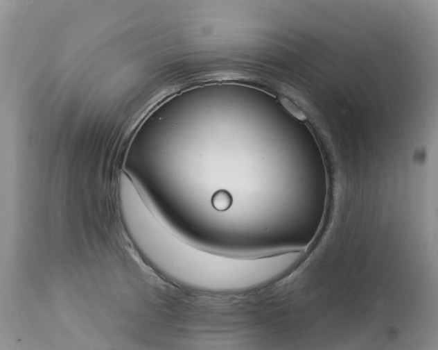 X0000113101185200909111044