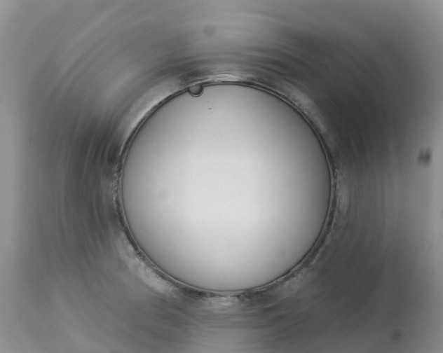 X0000113101186200909111044