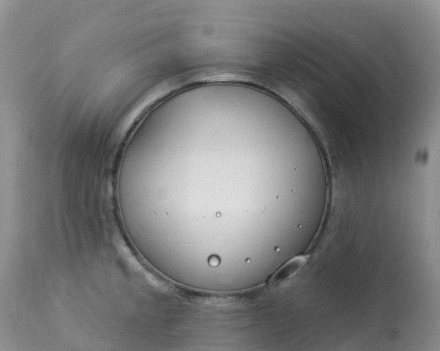 X0000113101189200909111044