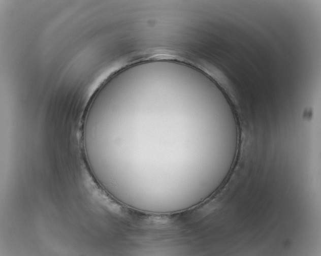 X0000113101190200909111044