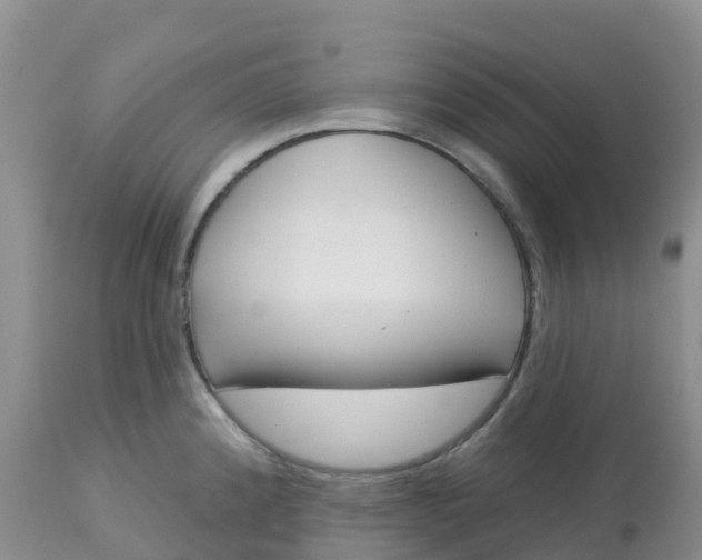 X0000113101192200909111044