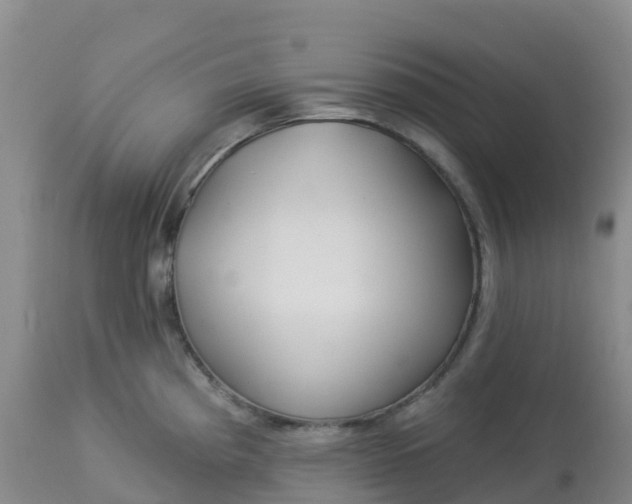 X0000113101193200909111044