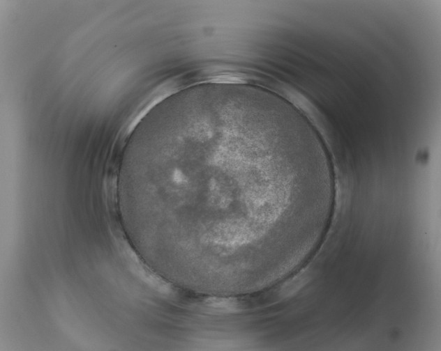 X0000113101194200909111044