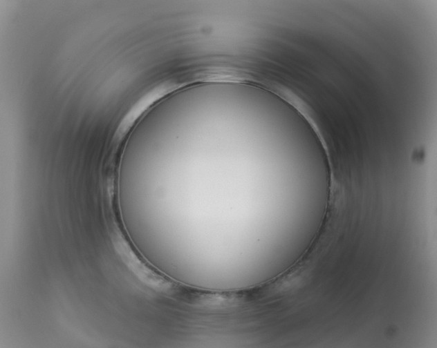 X0000113101195200909111044
