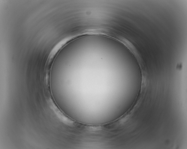 X0000113101196200909111044