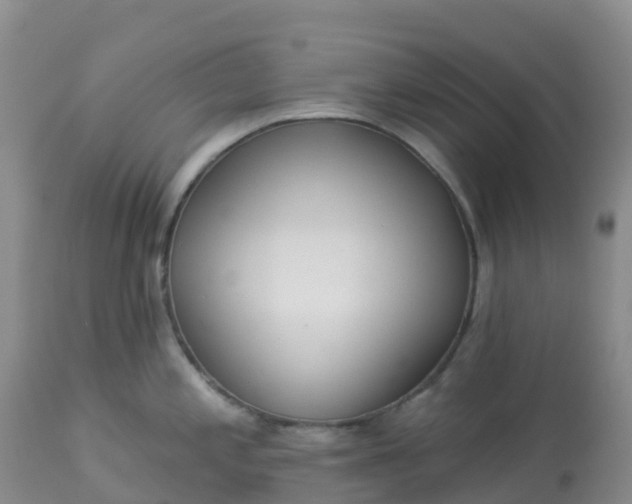 X0000113101197200909111044