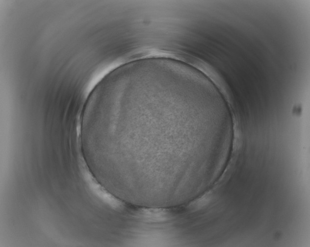 X0000113101198200909111044
