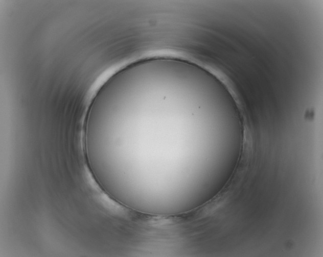 X0000113101199200909111044