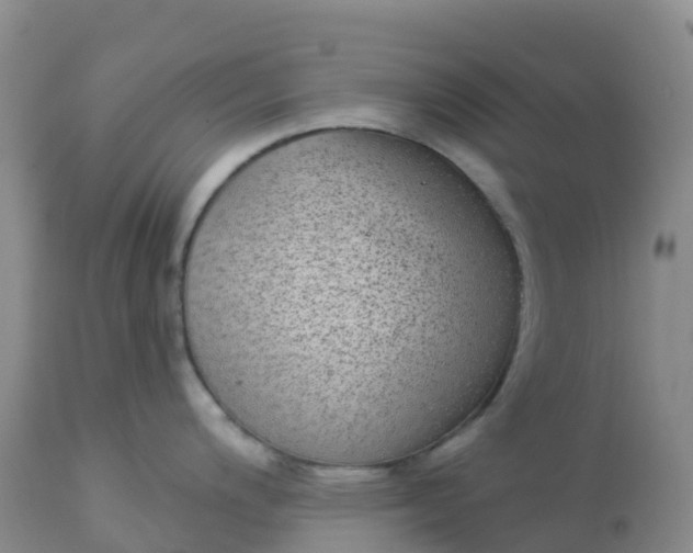X0000113101200200909111044