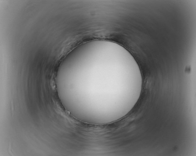X0000113101202200909111043