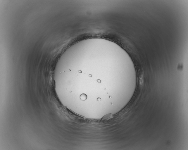X0000113101204200909111043