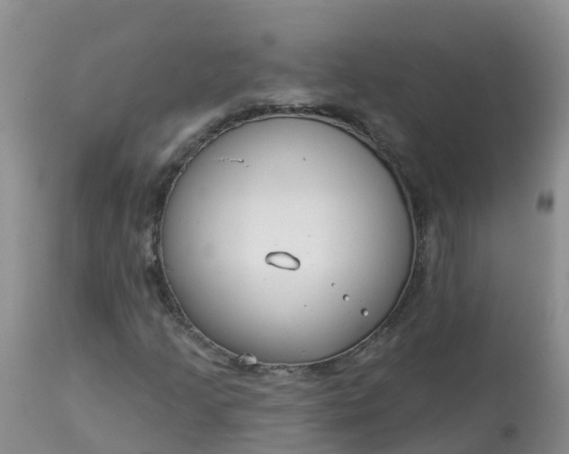 X0000113101205200909111043
