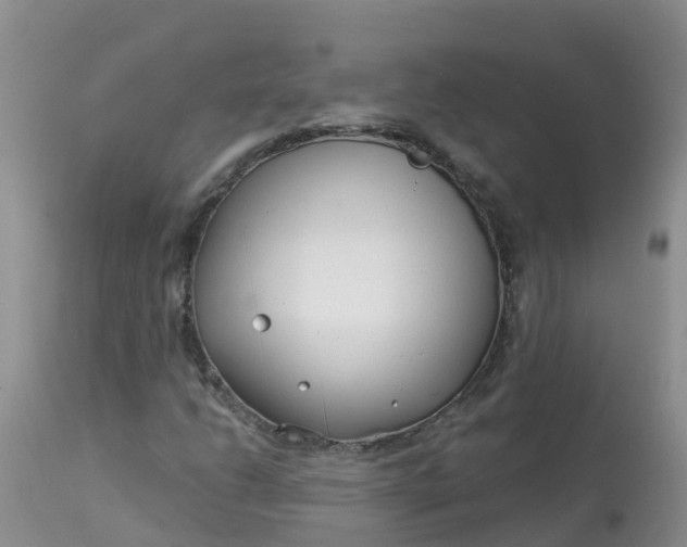 X0000113101206200909111043