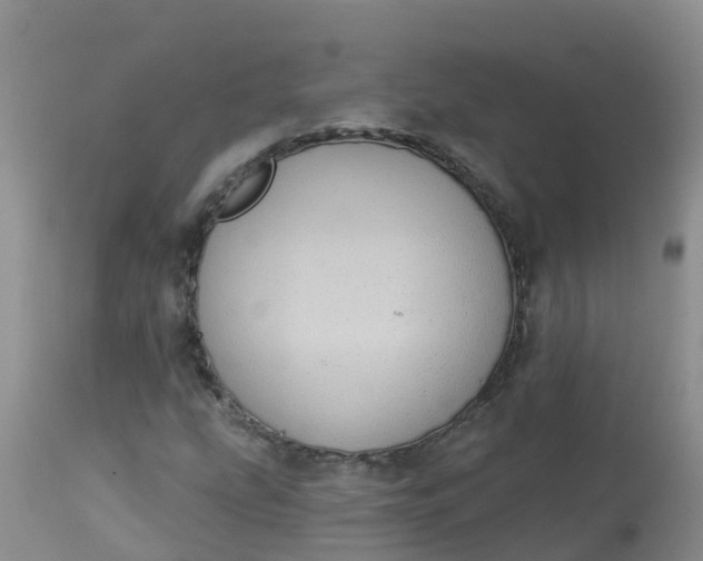 X0000113101207200909111043