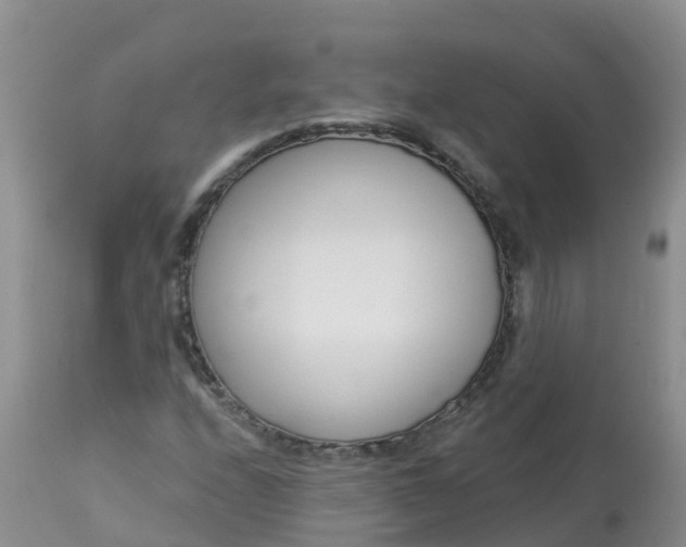 X0000113101208200909111043