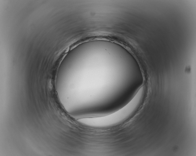 X0000113101209200909111043
