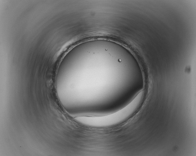 X0000113101210200909111043