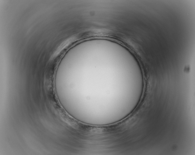 X0000113101211200909111043