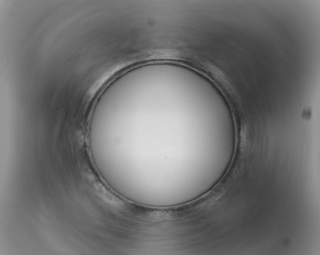 X0000113101212200909111043