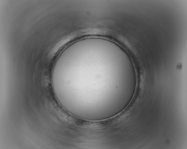 X0000113101213200909111043